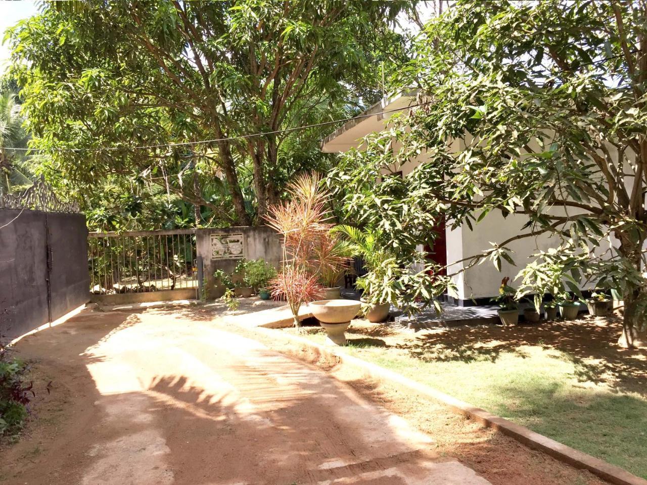 Damith Tourist Inn Mirissa Extérieur photo